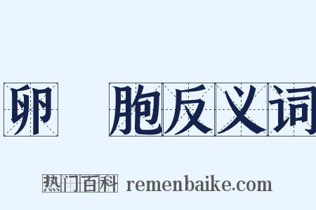 卵細胞反义词是什么意思的图片